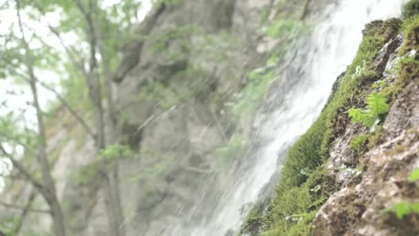 Vatten rör sig nedåt från en klippa i skogen — Stockvideo