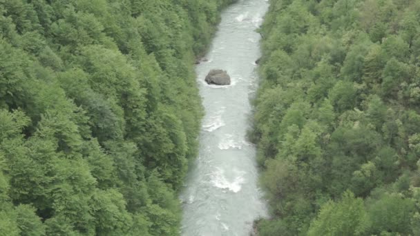 Vallei van de prachtige rivier in het bos — Stockvideo