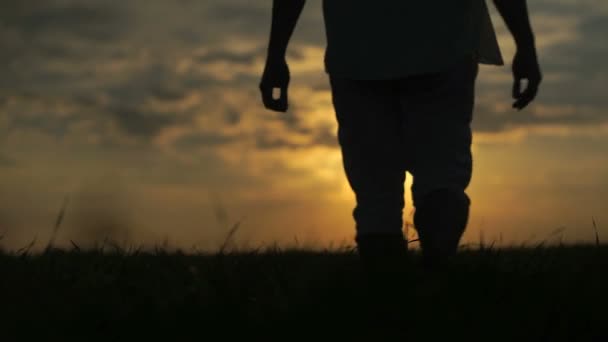 Hombre caminando en el campo con hermoso atardecer sobre un fondo — Vídeo de stock