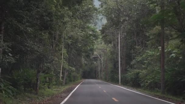 Pusty tajski dżungli wiejskich dróg. Widok z pierwszej osoby — Wideo stockowe