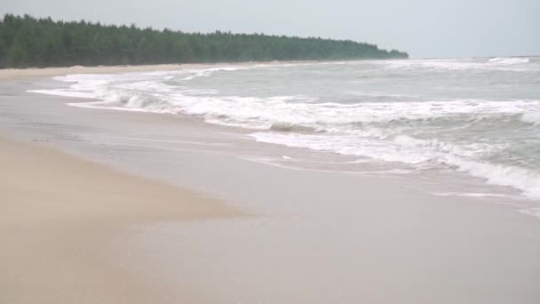 Kumlu plaj ve uzak orman üzerinde gelgit. Bulutlu gün Slow motion video çekimi — Stok video
