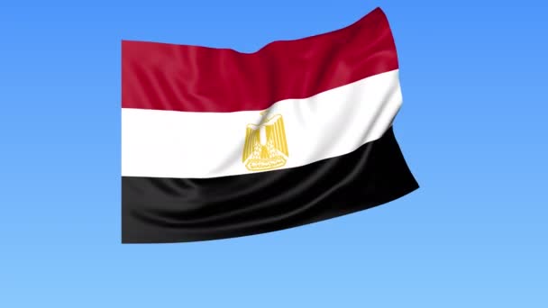Ondeando la bandera de Egipto, lazo sin costuras. Tamaño exacto, fondo azul. Parte de todos los países establecidos. ProRes 4K con alfa . — Vídeo de stock