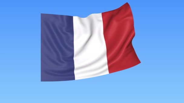 Waving flag of France, seamless loop. Exact size, blue background. Part of all countries set. 4K ProRes with alpha. — Stock Video