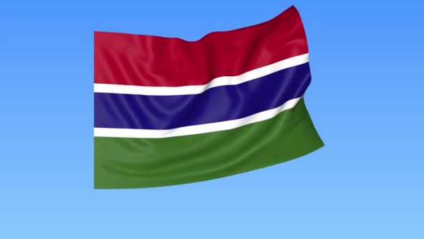 Ondeando la bandera de Gambia, lazo sin costuras. Tamaño exacto, fondo azul. Parte de todos los países establecidos. ProRes 4K con alfa . — Vídeos de Stock