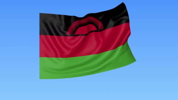 Bandeira ondulada do Malawi, laço sem costura. Tamanho exacto, fundo azul. Parte de todos os países definidos. ProRes 4K com alfa . — Vídeo de Stock