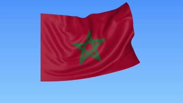 Флаг Марокко, бесшовная петля. Точный размер, синий фон. Часть всех стран установлена. 4K ProRes с альфой . — стоковое видео