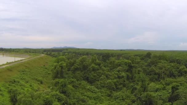 Thailändska djungeln antenn video — Stockvideo