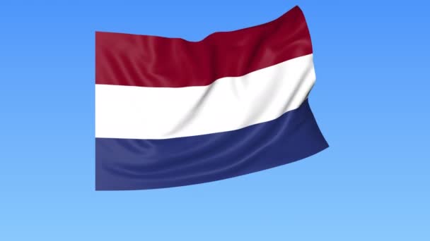 Bandera ondeante de Holanda, lazo sin costuras. Tamaño exacto, fondo azul. Parte de todos los países establecidos. ProRes 4K con alfa . — Vídeo de stock