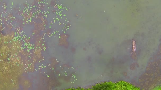 Luchtfoto video van troebel jungle rivier, Thailand — Stockvideo