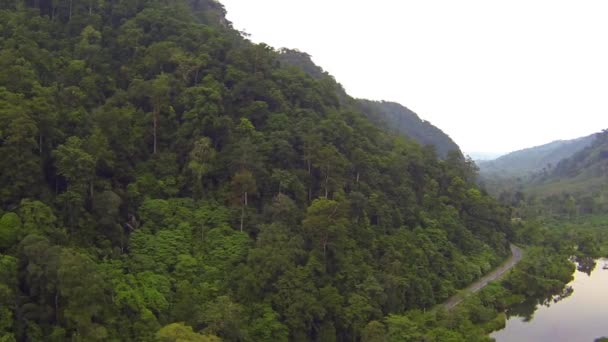 Flygfoto över djungeln täckta berg, jungle sporre och floden — Stockvideo