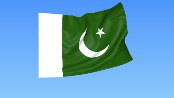 Размахивание флагом Пакистана, бесшовная петля. Точный размер, синий фон. Часть всех стран установлена. 4K ProRes с альфой . — стоковое видео