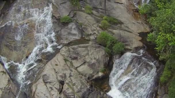 Cascada tropical, aves y palmeras. Video en cámara lenta aérea — Vídeo de stock