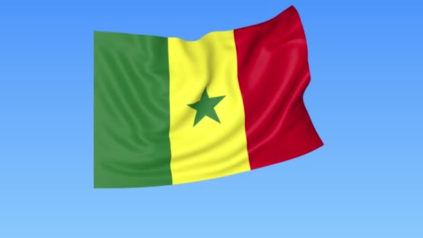 Розмахуючи прапором Сенегалу, безшовної петлі. Точний розмір, синій фон. Частини всіх країн. 4K Prores з альфа. — стокове відео