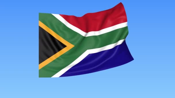 Waving flag of South Africa, seamless loop. Exact size, blue background. Part of all countries set. 4K ProRes with alpha — Stock Video