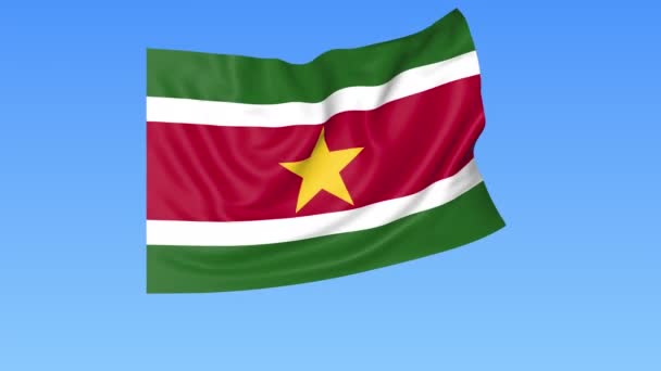 Bandeira ondulada do Suriname, loop sem emenda. Tamanho exacto, fundo azul. Parte de todos os países definidos. ProRes 4K com alfa — Vídeo de Stock