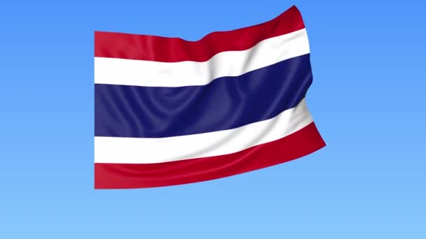 Mávající vlajka Thajska, bezproblémová smyčka. Přesná velikost, modrý podklad. Část všech zemí je nastavená. 4k Proresy s alfa — Stock video