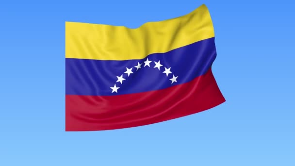 Drapeau agitant du Venezuela, boucle transparente. Taille exacte, fond bleu. Partie de tous les pays fixés. ProRes 4K avec alpha — Video