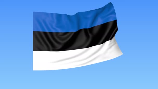 Размахивание флагом Эстонии, бесшовный цикл. Точный размер, синий фон. Часть всех стран установлена. 4K ProRes с альфой — стоковое видео