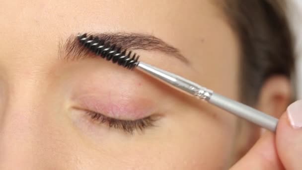 Brosse à sourcils maquillage — Video