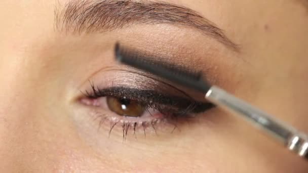 Professionele make-up van mascara — Stockvideo