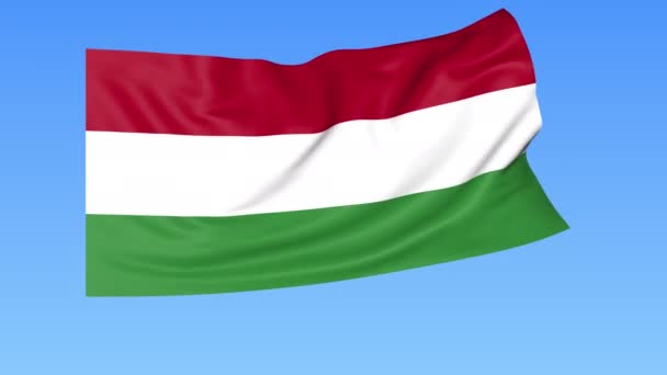 Bandiera sventolante dell'Ungheria, anello senza cuciture. Dimensioni esatte, sfondo blu. Parte di tutti i paesi impostati. ProRes 4K con alfa — Video Stock