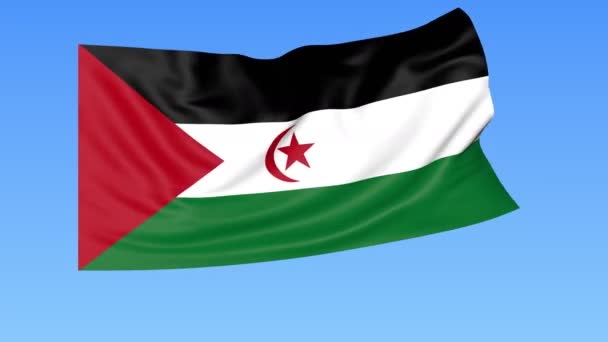 Bandiera sventolante della Repubblica Democratica Araba Sahrawi, anello continuo. Dimensioni esatte, sfondo blu. Parte di tutti i paesi stabiliti — Video Stock