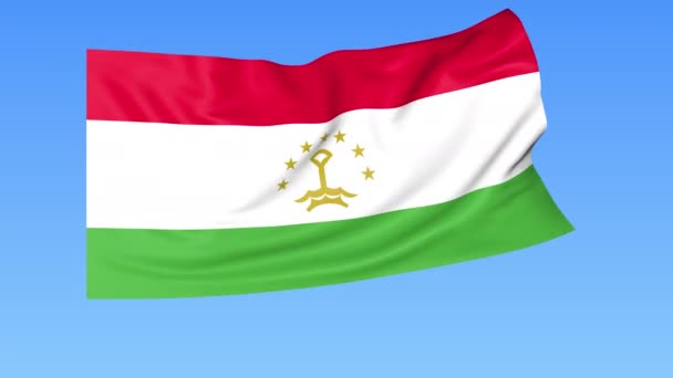 Mávající Vlajka Tádžikistánu, bezešvá smyčka. Přesná velikost, modrý podklad. Část všech zemí je nastavená. 4k Proresy s alfa — Stock video