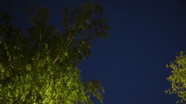 Зоряне літнє небо нічний проміжок часу — стокове відео