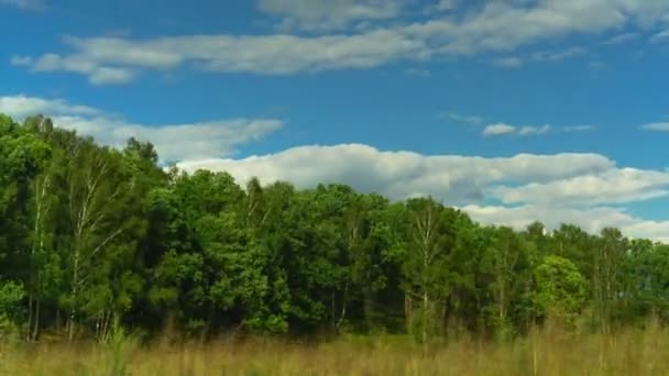 노란 잔디, 나무와 구름 시간 경과 비디오 — 비디오