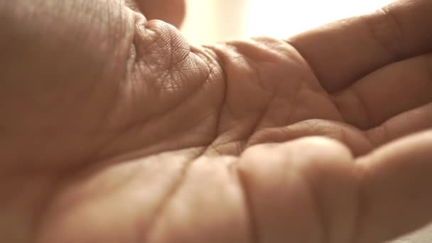 Man gieten pillen van de kruik op zijn palm macro slowmotion geschoten, rekken van focus — Stockvideo