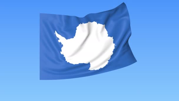 Waving flag of Antarctica, seamless loop. Exact size, blue background. Part of all countries set. 4K ProRes with alpha — Stock Video