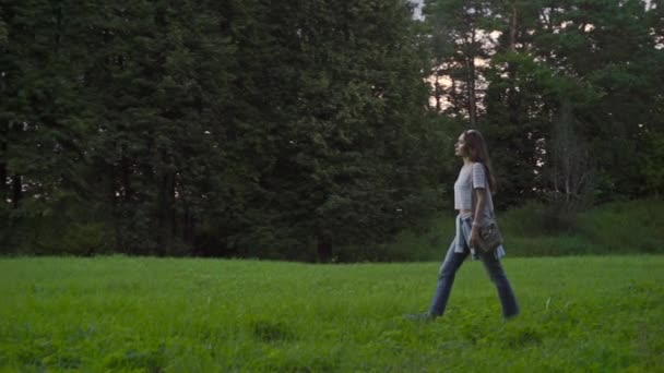 Romantic brunette girl walking on evening meadow. Slow motion tracking shot — Stock Video