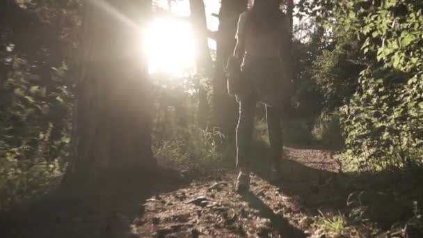 Brunette girl walking away from camera in sunset coniferous forest. Zoom in slow motion shot. Bleached colors — Stock Video