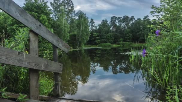 4k pan hyperlapse met drijvende wolken, hetgeen tot uitdrukking komt in kleine rustige bos vijver — Stockvideo