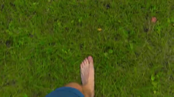 Un uomo che cammina scalzo sull'erba nel giardino delle mele, POV. 4K tiro — Video Stock