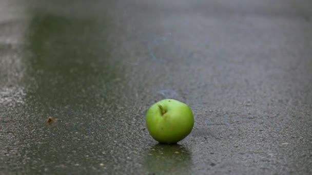 Manzana verde explotando. 500 fps super slow motion shot — Vídeo de stock