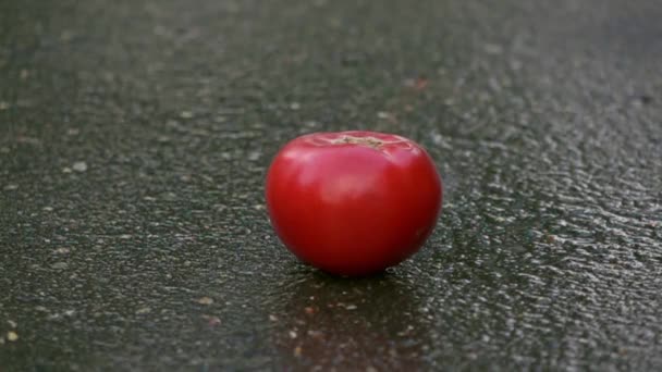 Blowing up red ripe tomato. 500 fps super slow motion shot — Stock Video