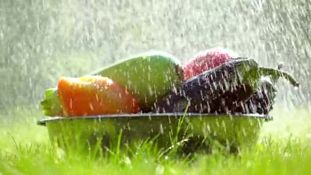 Legumes frescos em uma tigela e espalhando gotas de água vídeo super câmera lenta. Tiro contra o sol a 500 fps — Vídeo de Stock