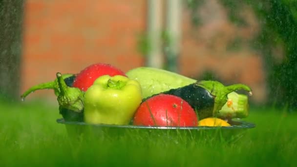 Diferentes verduras en la hierba y gotas de agua que caen, tiro en cámara súper lenta, 500 fps. Tono verde — Vídeo de stock