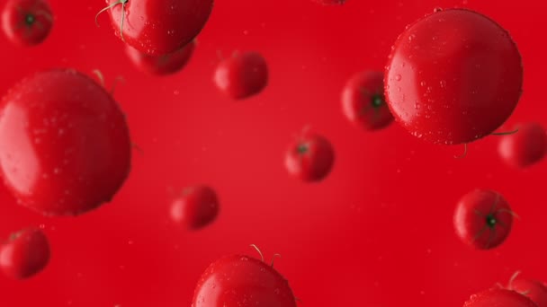 Super slow motion clip of falling red tomatoes and water drops against red background. 4K seamless loopable CG animation — Stock Video
