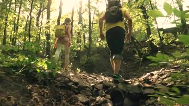 Casal caminhadas perto do córrego na floresta ensolarada do verão. 4K rastreamento steadicam tiro — Vídeo de Stock