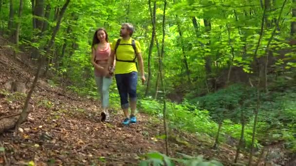 男性と女性のハイカーは、日当たりの良い夏の森を歩きます。ステディカム ショットを追跡 4 k — ストック動画