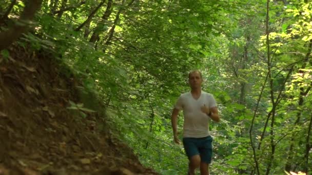 Runner közeledik a kamera az erdőben. Szuper lassú hosszú lövés — Stock videók