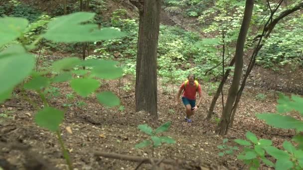 Wanderer mit grünem Rucksack klettert im Wald bergauf. 4k Steadicam-Aufnahme — Stockvideo