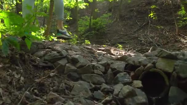 Chica delgada con mochila senderismo por el arroyo en el bosque. 4K steadicam seguimiento de disparo — Vídeo de stock