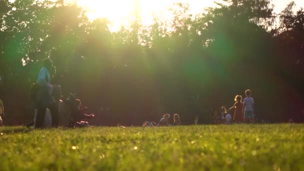 Moskou, Rusland - augustus, 8, 2016. Zwarte Expat familie wandelen met baby wandelwagen op het gras in sunset park. 4k video — Stockvideo