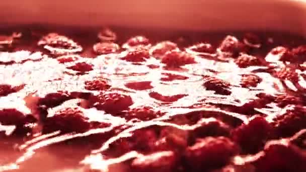 Red raspberries rolling in shallow water, super slow motion video — Stock Video