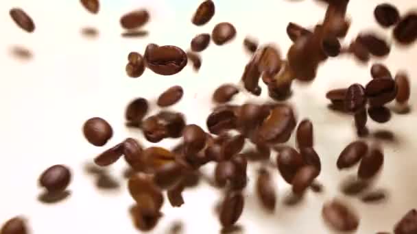 Caduta chicchi di caffè tostati che coprono lo sfondo bianco, super slow motion shot — Video Stock