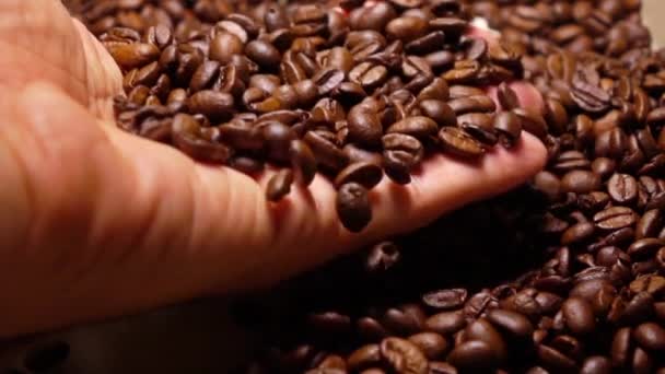 Man scooping roasted coffee beans, super slow motion shot — Stock Video