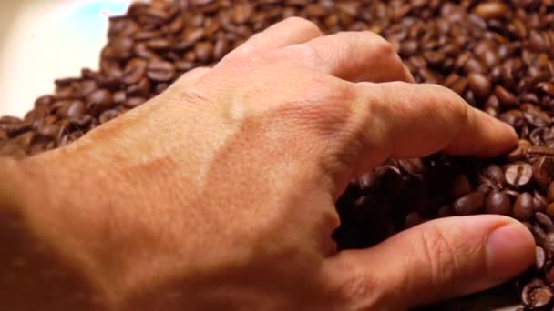Man hand scooping roasted coffee beans, super slow motion shot — Stock Video